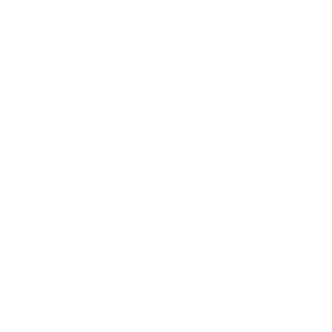 Logo My Travel Portrait